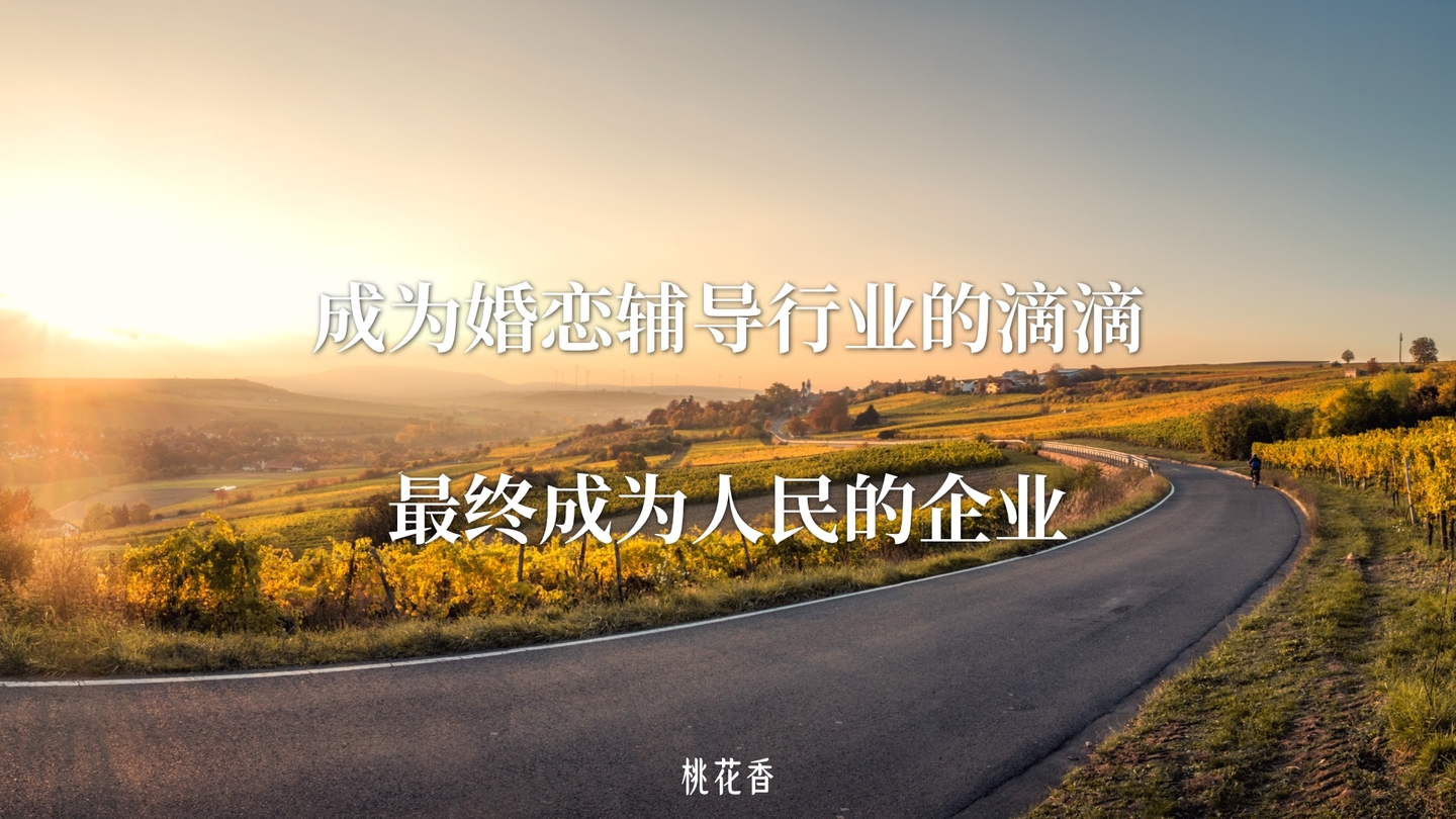 桃花香的愿景